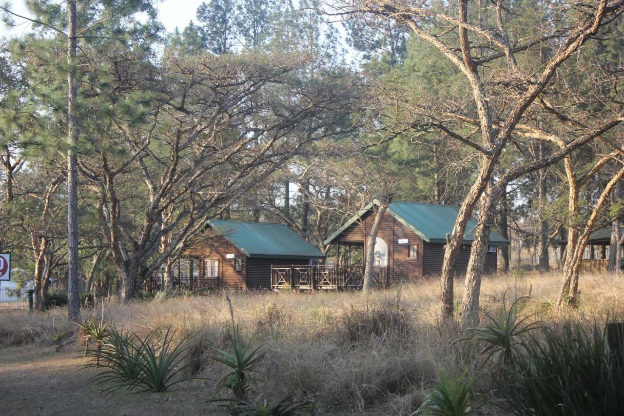 Acacia Bush Lodge Pietermaritzburg Eksteriør billede